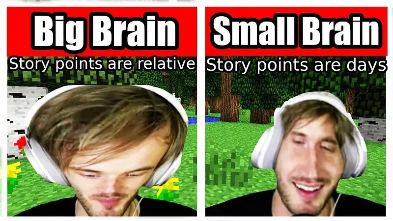 Big brain story points