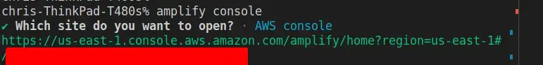 amplify console command