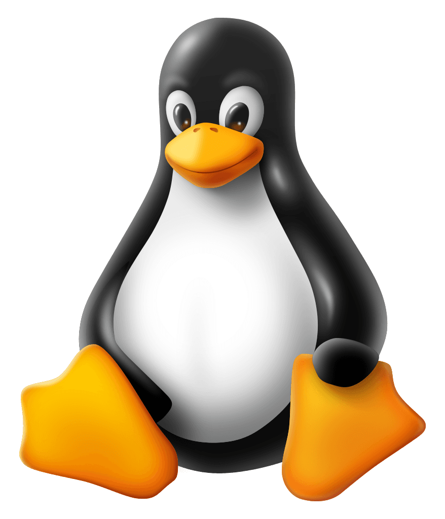 Bash: Or in an until or while loop cover image